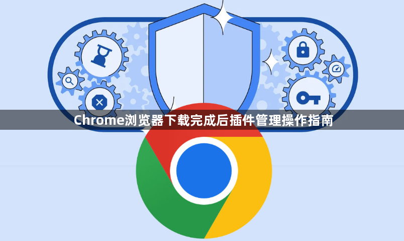 Chrome浏览器下载完成后插件管理操作指南1