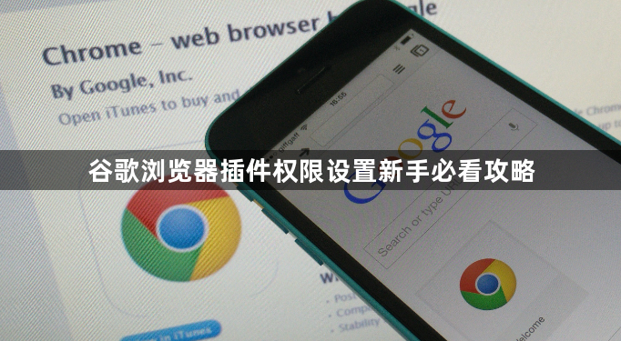 谷歌浏览器插件权限设置新手必看攻略1