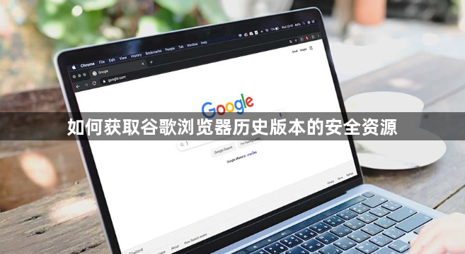 如何获取谷歌浏览器历史版本的安全资源1
