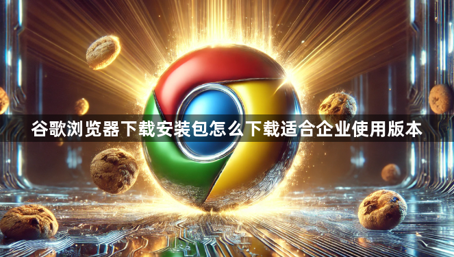 谷歌浏览器下载安装包怎么下载适合企业使用版本1