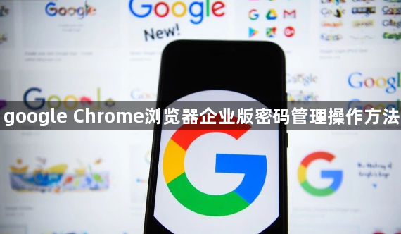 google Chrome浏览器企业版密码管理操作方法1