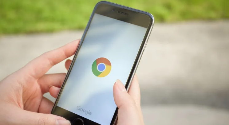 google浏览器强制小说网站以纯文本模式渲染提升阅读速度